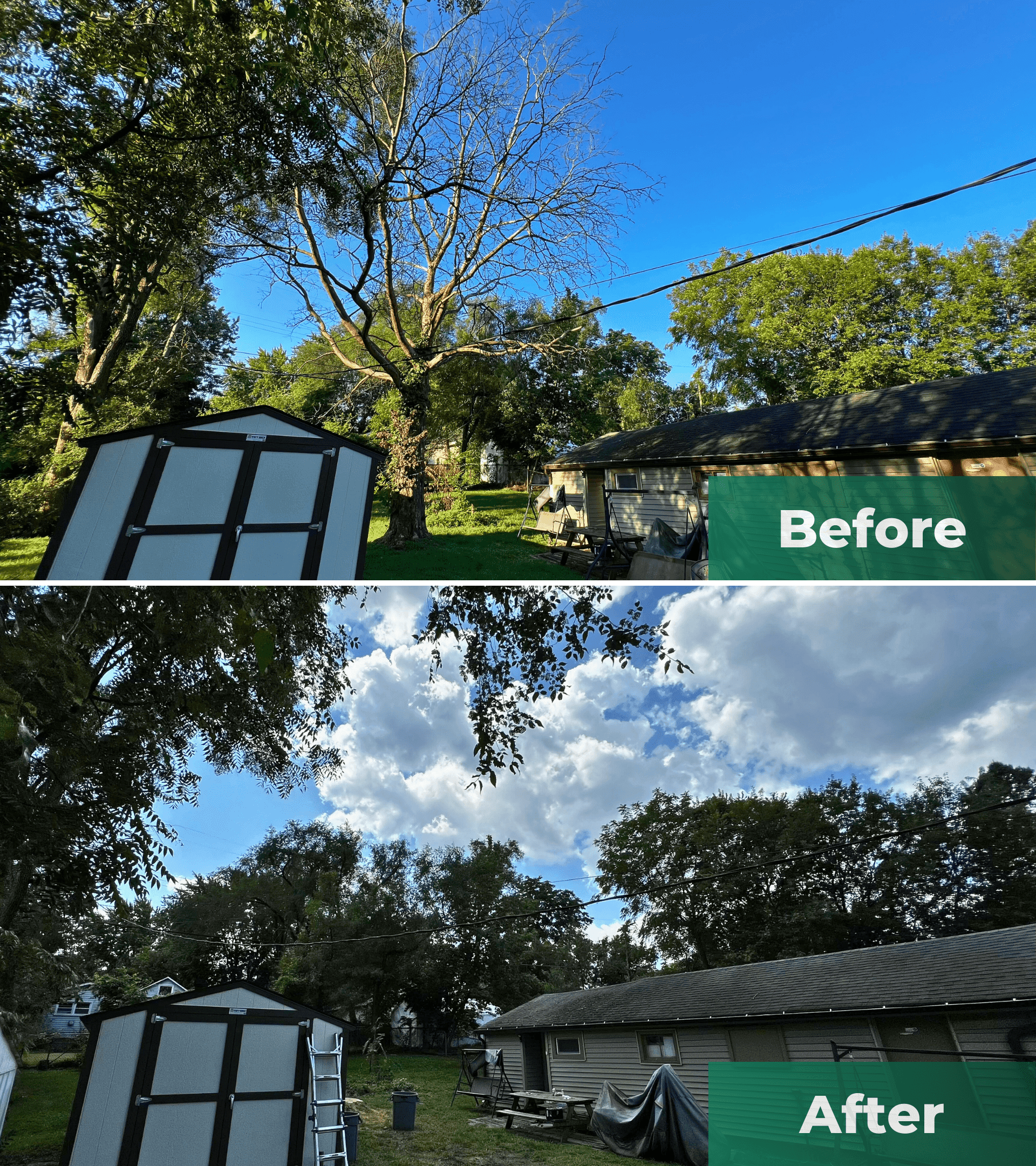 Before and after: Tree Removal Between power lines, Garage and a Shed