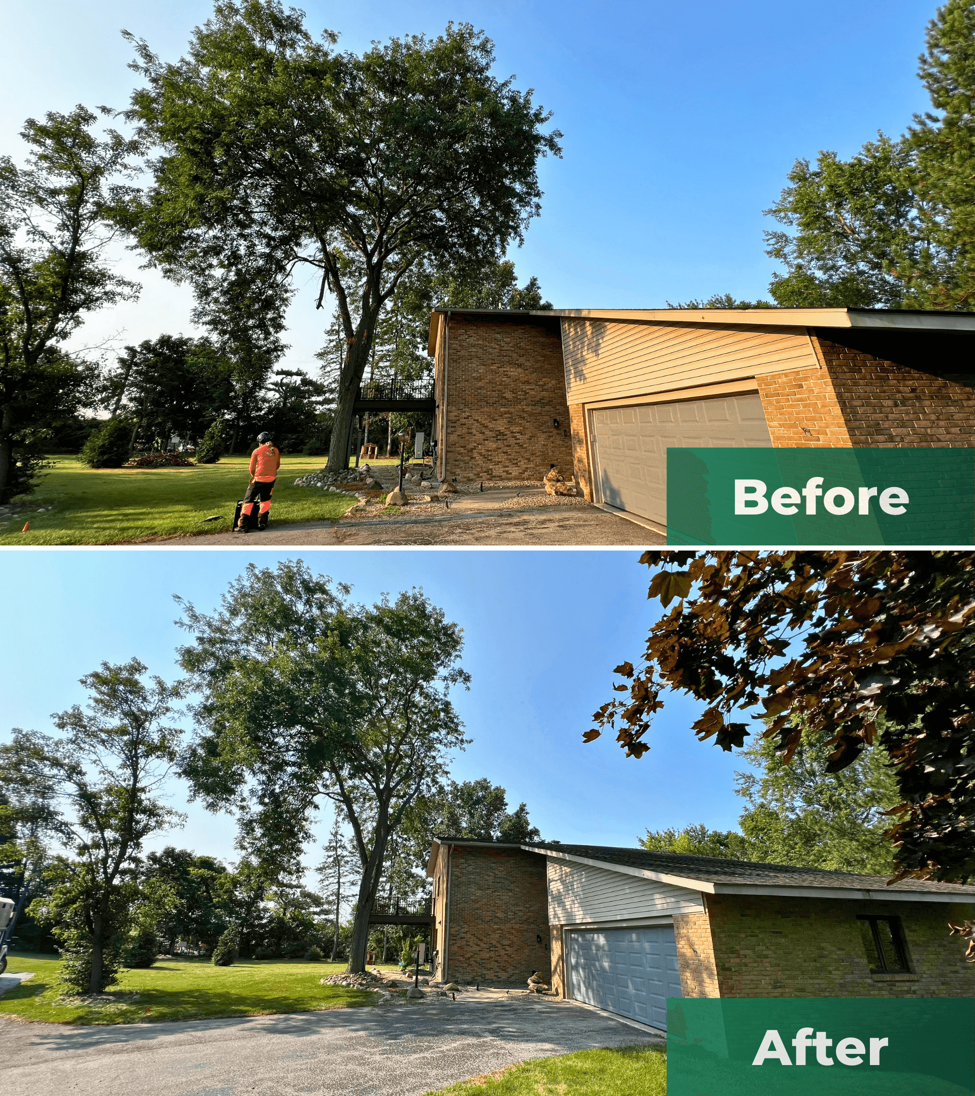 Before and after: Tree Trimming Overhanging House