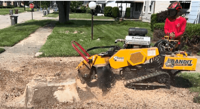 Stump Grinding