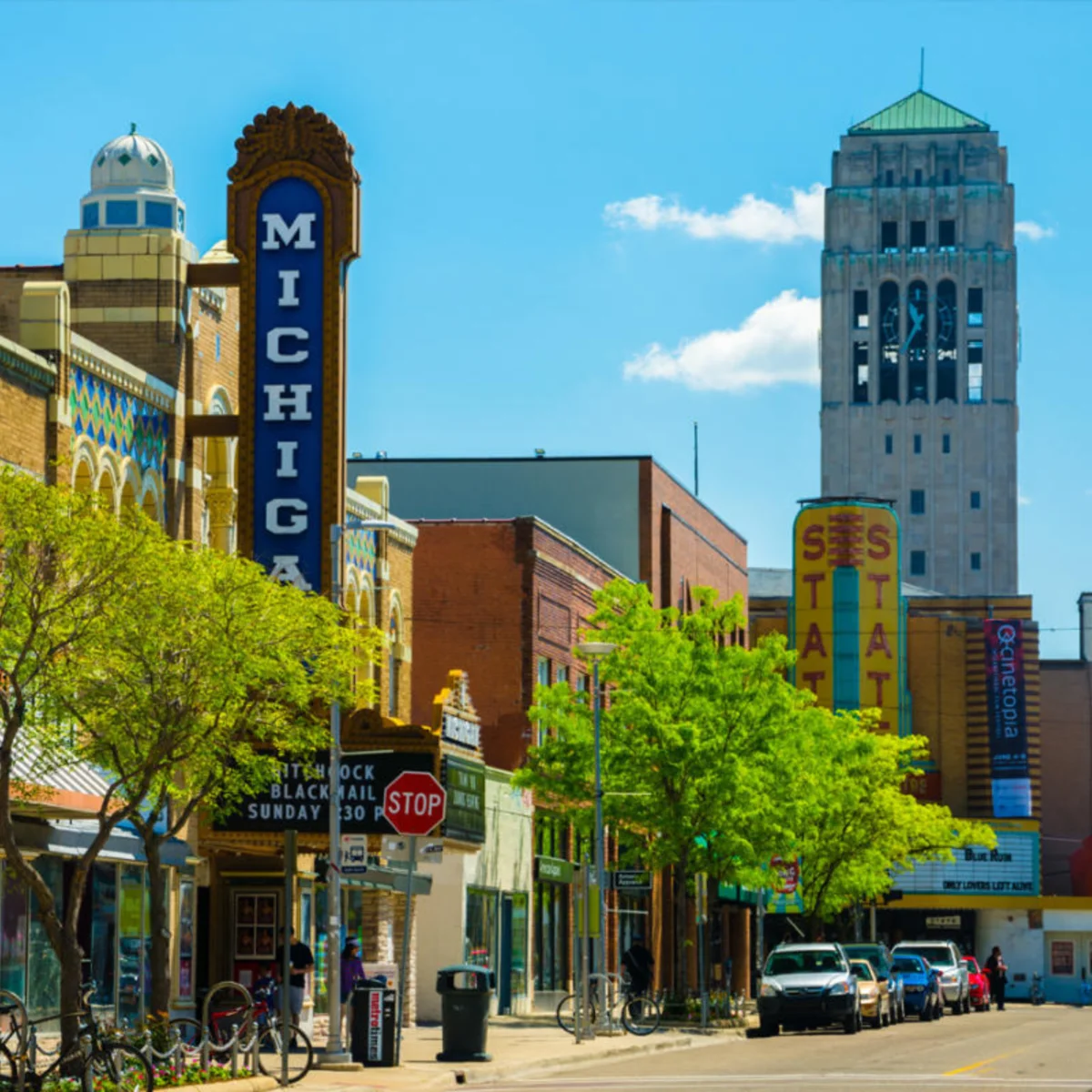 Ann Arbor Tree Services