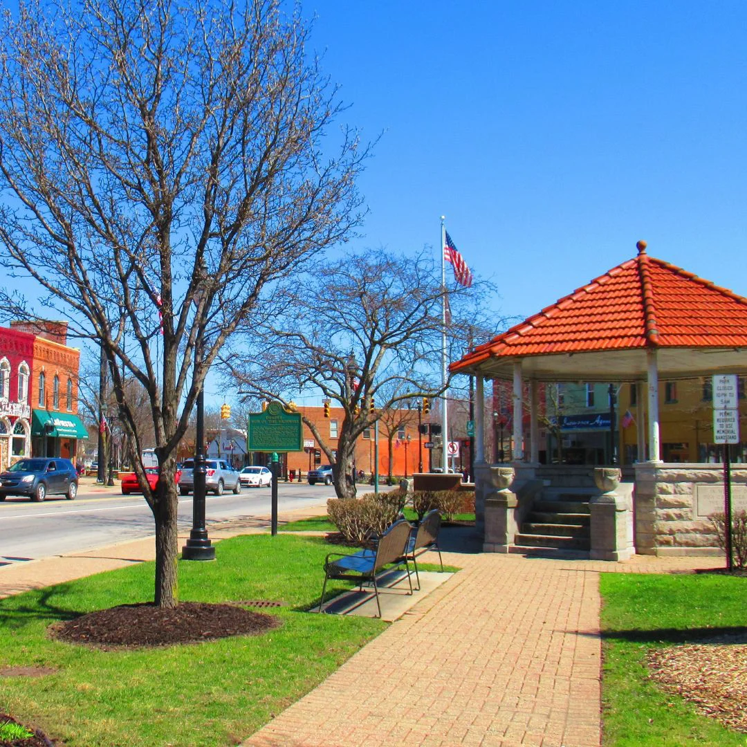 Dundee Tree Services