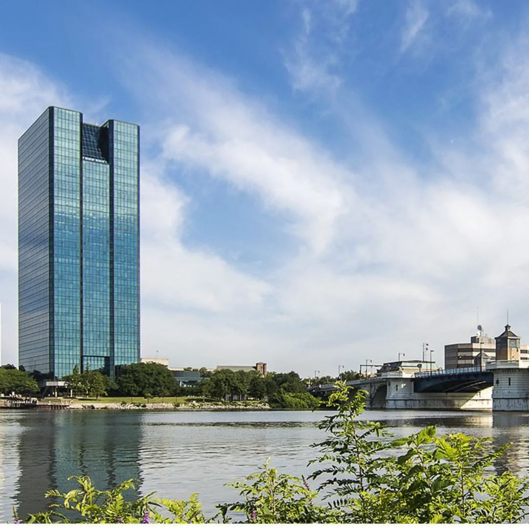 Lucas County Tree Services